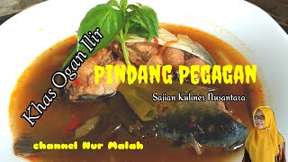 PINDANG PEGAGAN PATIN|| #pindangmantab #pindangpegagan #pindang ogan ilir