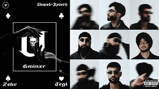 U (Slowed + Reverb) | Tegi Pannu | Zehr Vibe | Gminxr