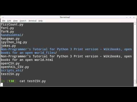 ipython 0.13 integrates very nicely with BASH: cat works great!