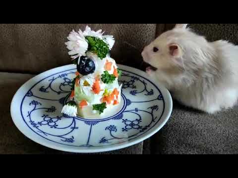 Flocke hat Geburtstag