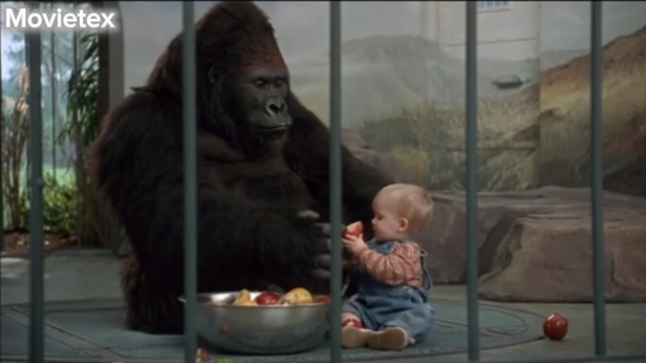 طفل رضيع فى قفص الغوريلا  و درس قاسى لعصابة قامت بخطفه لطلب فدية 