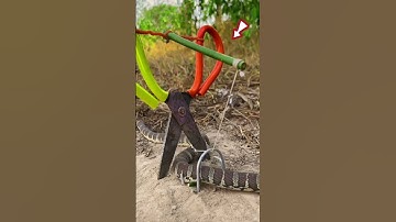 DIY SNAKE TRAP #USING SCISSORS FOR TRAPPING SNAKE #SNAKE VIDEO #YOUTUBE SHORTS #VIRAL #FOR YOU PAGE