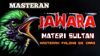 2 jam masteran JAWARA full materi sultan masteran paling di cari  pecinta lomba kicau