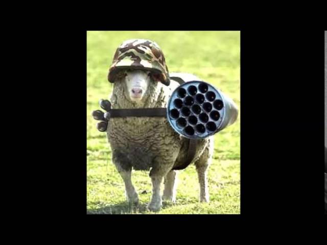 Watch Hefty - Weapon Frequency (Original Mix) on YouTube Watch Hefty - Weapon Frequency (Original Mix) on YouTube