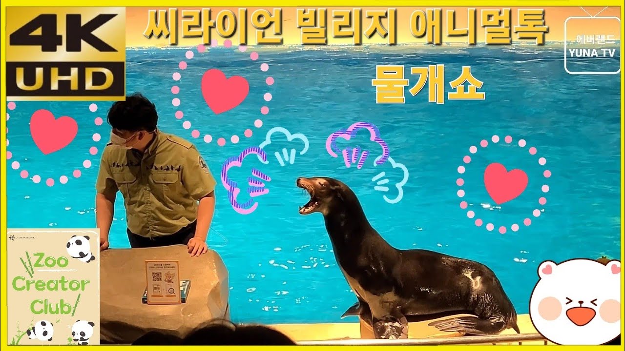 [에버랜드 4K] 에버랜드 공연, 씨라이언 빌리지 애니멀톡(물개쇼), 2022-08-15