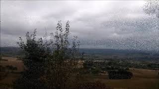 Rando Minute À Giroussens Tarn