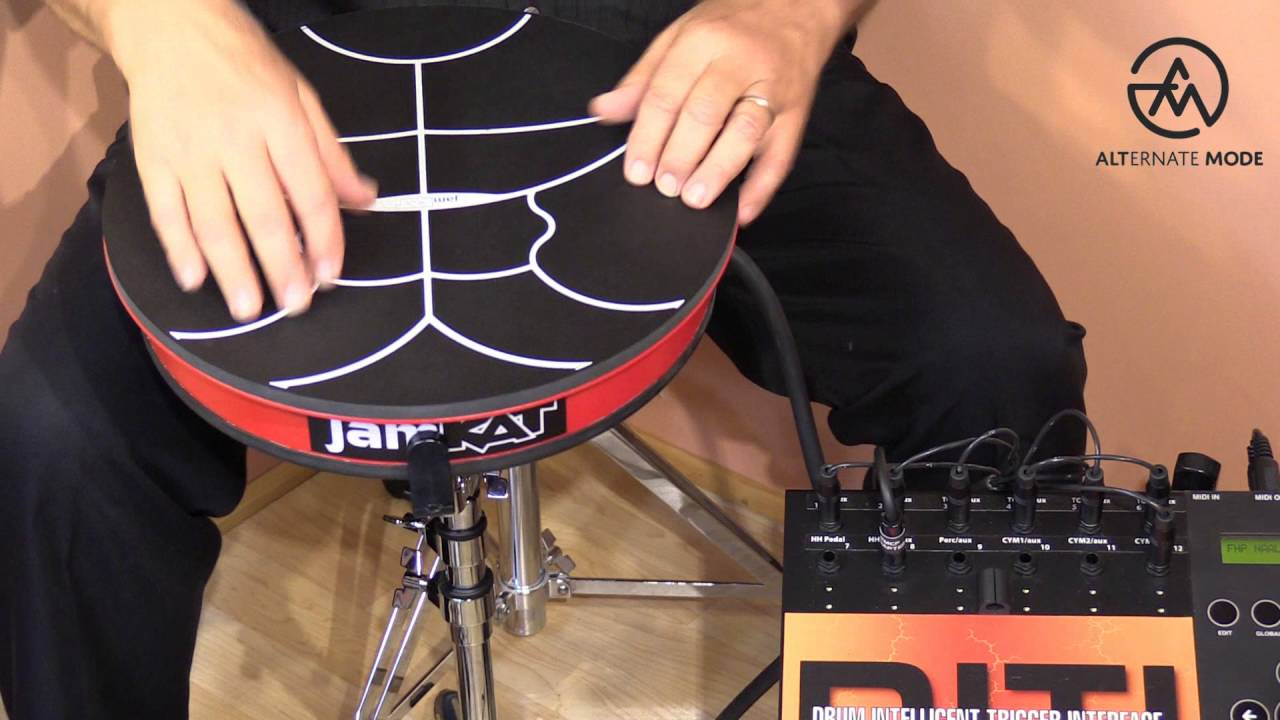 Hand Held Percussion with JamKAT