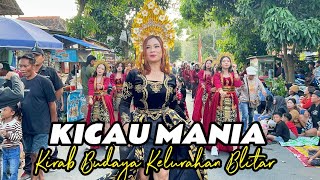Joget Karnaval Dj Kicau Mania Kirab Budaya Kelurahan Blitar 2026 