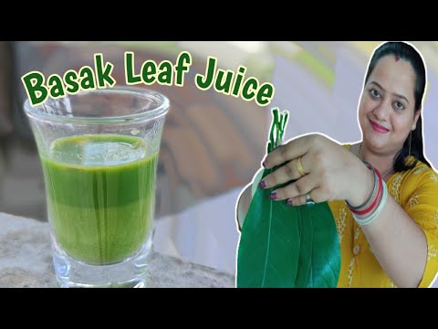 Basak Patta Juice | Justicia Adhatoda Leaf Juice
