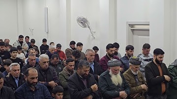 ماتيسر من سورة البقرة-القارئ نزار تتر
