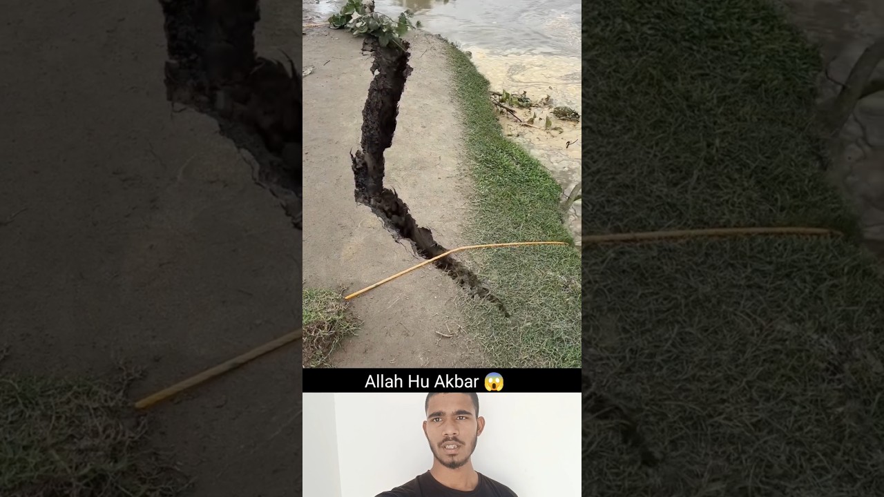 Allah ka 🌙🕋🇦🇪👍☝️#muhammadﷺ #duet #allah ❤️🥰🥀👍☝️#youtubeshorts #trending #islamicpost#shortsfeed