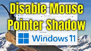 How To Disable Mouse Pointer Shadow on Windows 11 [Guide]