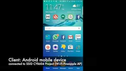 DNS Spoofing on Wi-Fi Pineapple