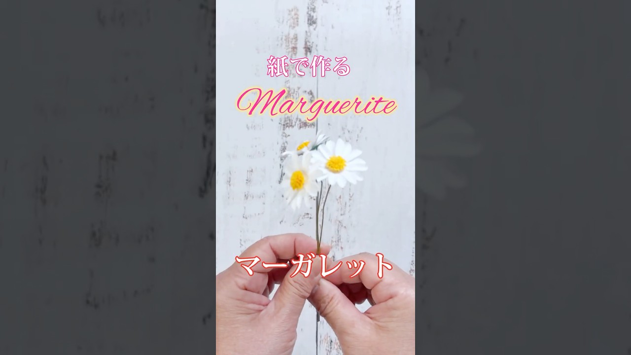 Paper Flowers] Let's make daisy flowers! #Handmade #EasyDIY
