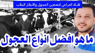 كيف تختار العجول المناسبه لمزرعتك ؟ What is the best type of calves?