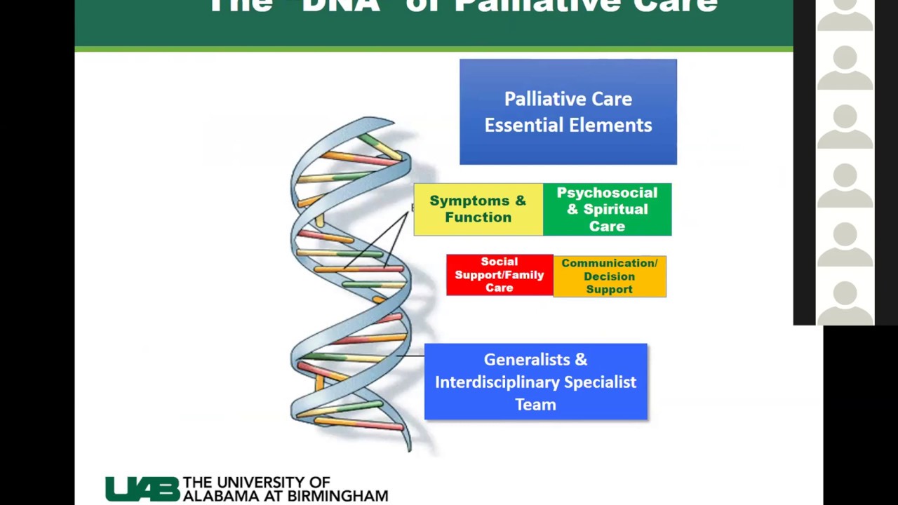 Palliative Care Webinar - YouTube