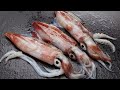 Parte 22: Beneficios saludables de los CALAMARES! Buena alimentación base buena SALUD
