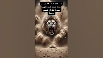 كون صياد قبل ان تكون فريسة اترك بصمتك هنا 