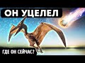 Астероид уничтожил динозавров, но не птиц || Каким образом уцелели летающие динозавры?