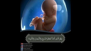 دقيقة لقلبك/من سورة المؤمنون❤️