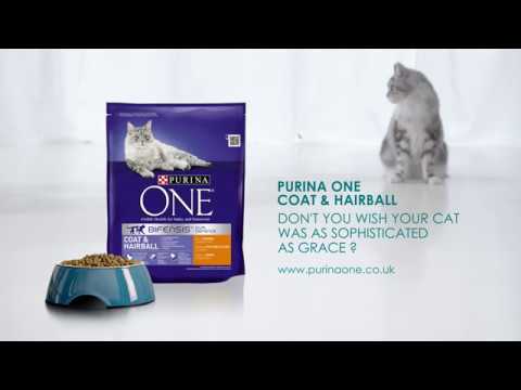 purina one anti hairball