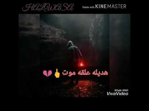 حاله واتس مهرجان السلكان رمز الامان