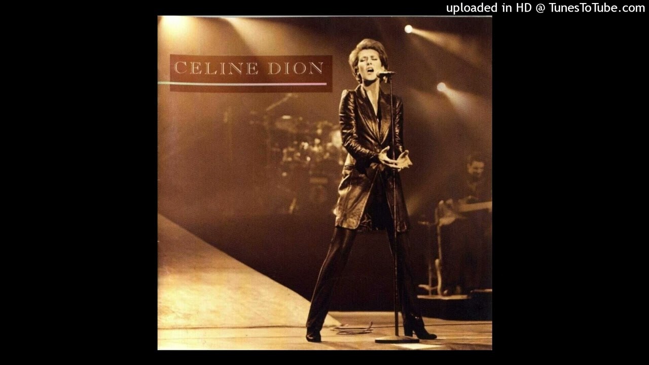 Céline Dion - Je Sais Pas (Live Karaoke Version - Paris 1995)