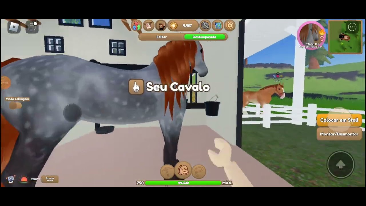 chegaram 5 cavalos para mim escolher um ou dois -whi- ep-8