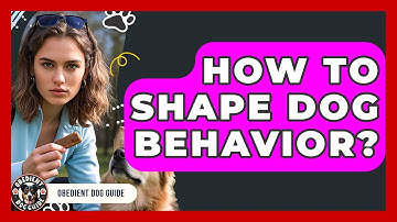 How To Shape Dog Behavior? - Obedient Dog Guide