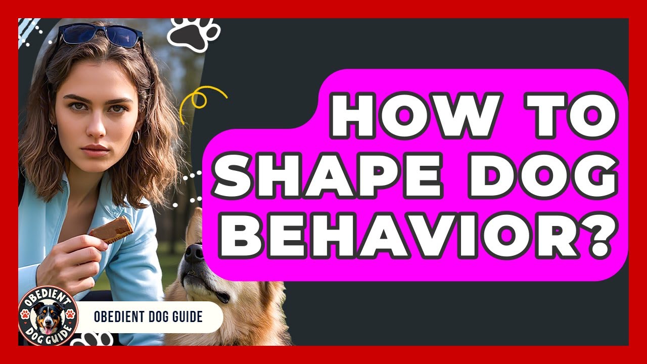 How To Shape Dog Behavior? - Obedient Dog Guide
