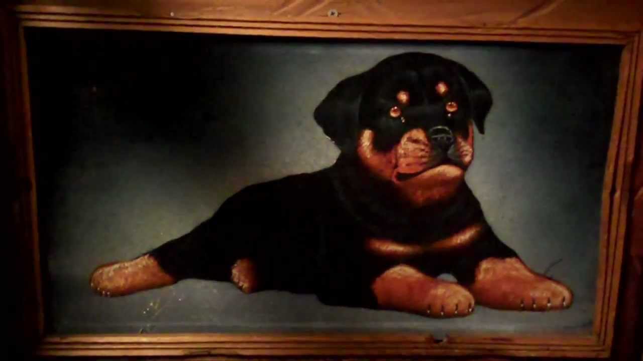 Ver Slow Club - If We're Still Alive en YouTube Ver Slow Club - If We're Still Alive en YouTube