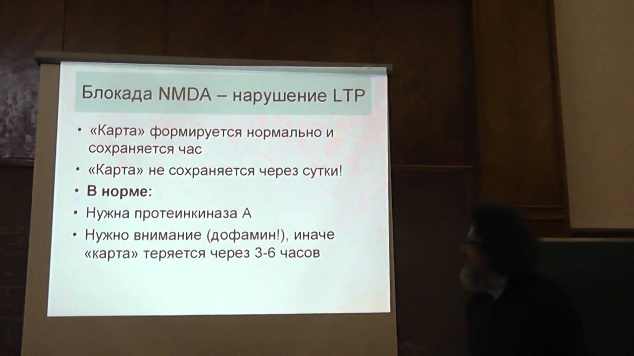 Память и научение - Сергей Глаголев - YouTube