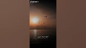 احسن مقطع من اغنية انتهت فرحة سنيني 