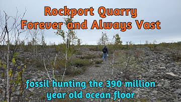 Rockport Quarry, Forever and Always Vast - searching for 390 million year old Devonian fossils