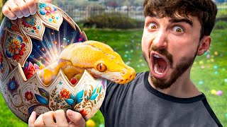 Insane Easter Egg Hunt! - Reptile Zoo Edition