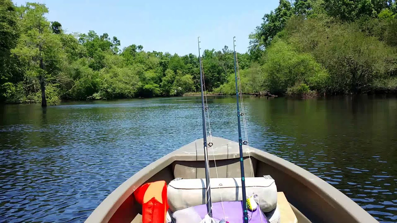 Black river kingstree YouTube