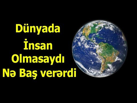 Video: Planetdə Insanlar Olmasa Nə Olardı