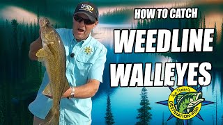 Weedline Warriors: Targeting Walleyes Along the Edge with Jon Thelen