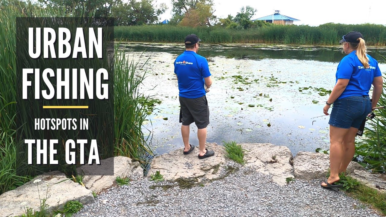 Millennium Square in Pickering | Urban Fishing Hotspots in The GTA