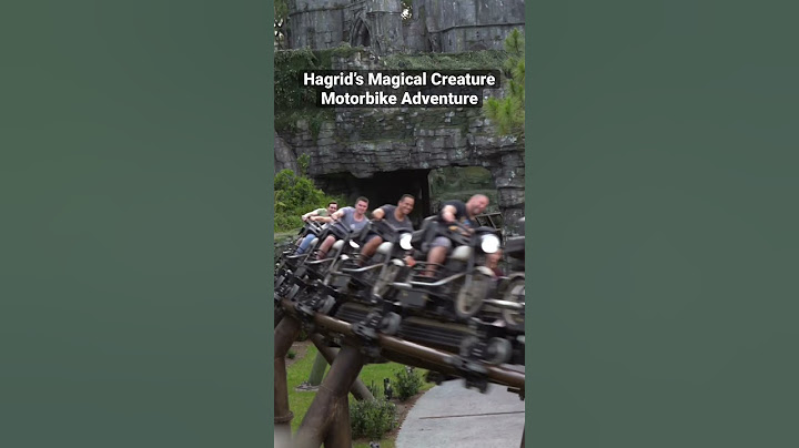 Hagrid’s Motorbike Ride 🤩🎢  #shorts