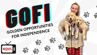 GOFI: Golden Opportunities for Independence