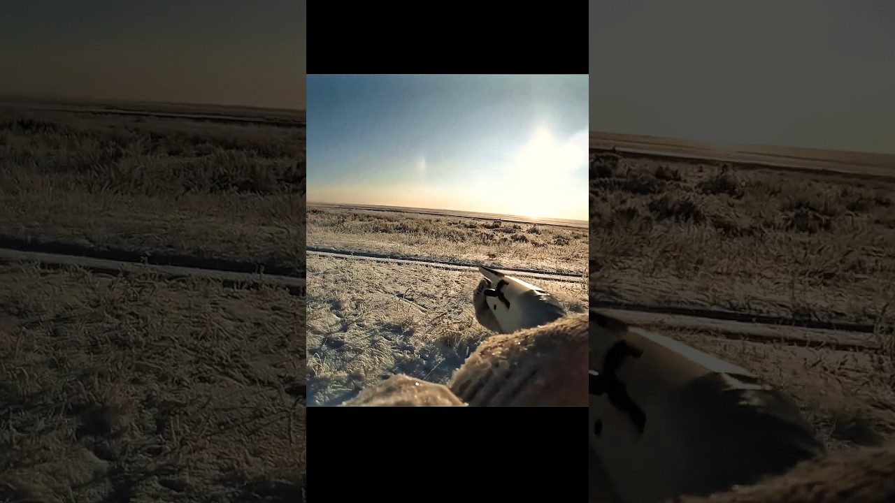 Скрытая охота на кролика в холодных горах 