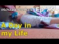 Episode 75 a day in my life adayinmylife adayinthelife