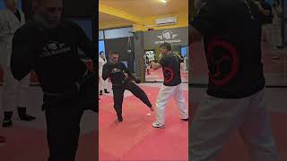 Sunegeri o pontapé destruidor (e que o Sensei de diverte 😅🤣) #karatejutsu #sunegeri