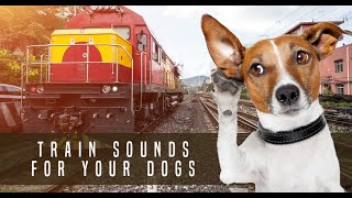 Train Sound Dog Desensitization Sound Noise for Puppy Dog Socialization