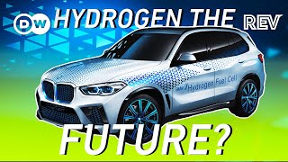 Hydrogen Fuel-Cell Cars:  The Future or a Flop?