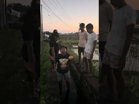 POTENSI UMKM Br. BATUSANGIHAN | ST SINAR MUDA | LOMBA VIDEO HUT RI KE 78 &amp; HUT DESA GUBUG KE 102