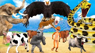 Giant Eagle vs Giant Snake Attack Cow Buffalo Saved By Mammoth Elephant Giant Gorilla Animal Fight