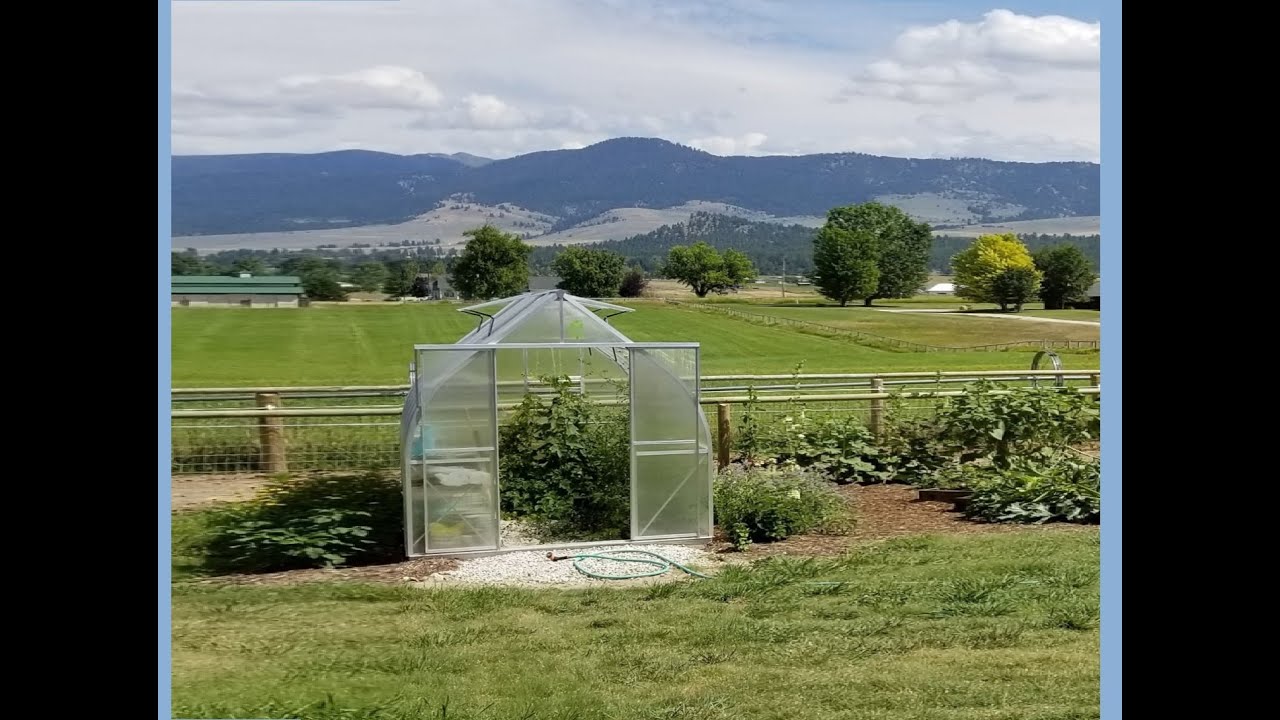 43 Greenhouse in Open and Windy area Review YouTube