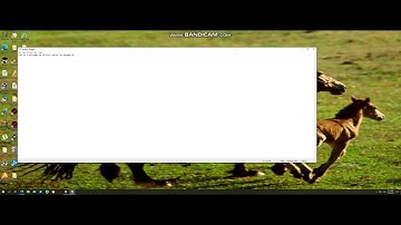 Windows 98 to 10 Theme - Horses